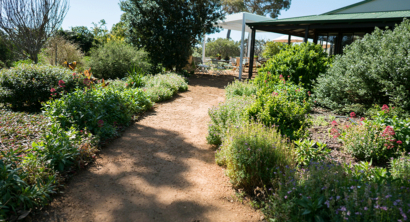 Stormflower Vineyard Garden